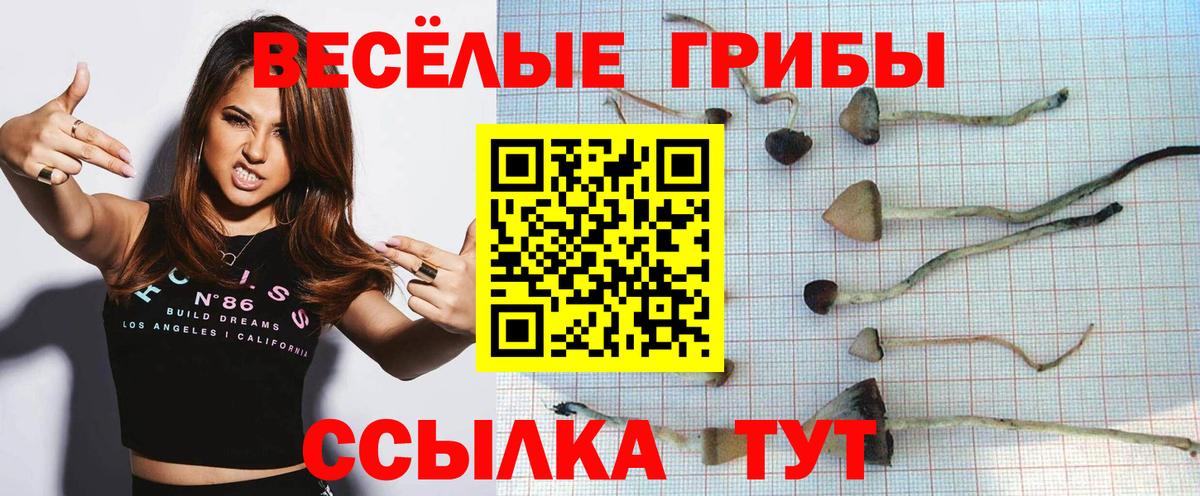 Псилоцибиновые грибы ЛСД  Вход с VPN  Крымск 